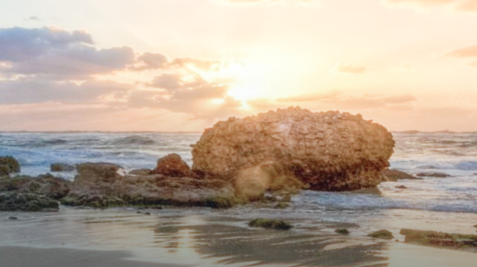 918.com(中国区)官方网站